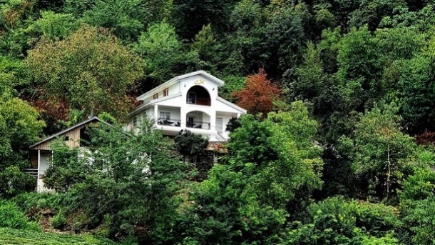 دستگیری اشرار مسلح در ویلای جنگلی