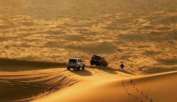 هزینه جدید تورهای سافاری اعلام شد