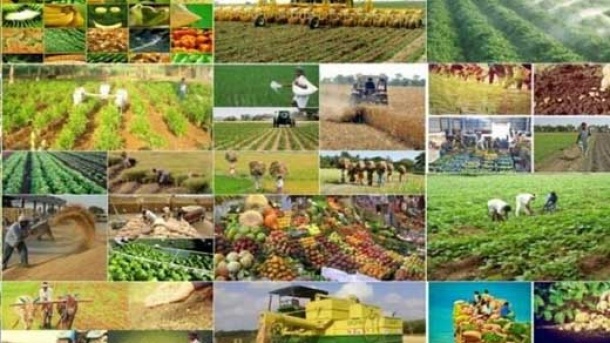 فرمول محاسبه نرخ خرید تضمینی محصولات اساسی چیست؟