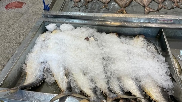 قیمت جدید انواع ماهی در بازار منتشر شد 1402/07/22