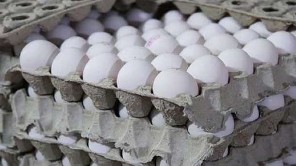 عرضه تخم مرغ با قیمت کمتر از نرخ مصوب