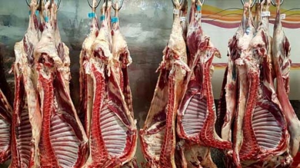 قیمت گوشت گوسفند و گوساله در بازار امروز
