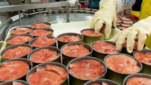 حقوق ورودی قوطی کنسرو ماهی تن کاهش یافت