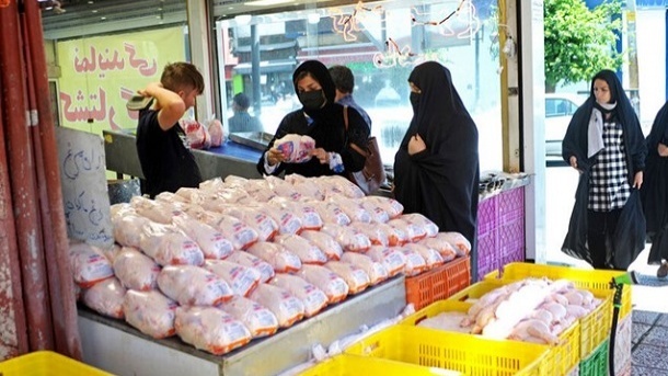 4 اقدامی که بازار مرغ را با ثبات کرد