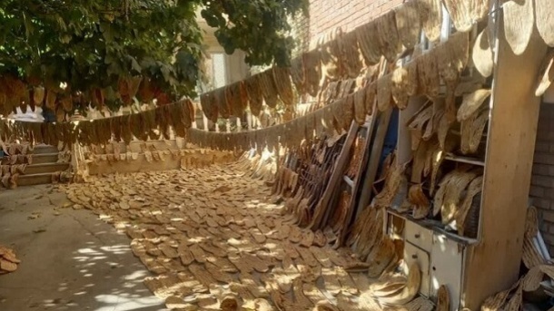 آشفتگی بزرگ در قیمت‌گذاری نان