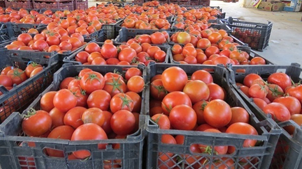 دلیل گرانی بی‌سابقه قیمت گوجه فرنگی در بازار