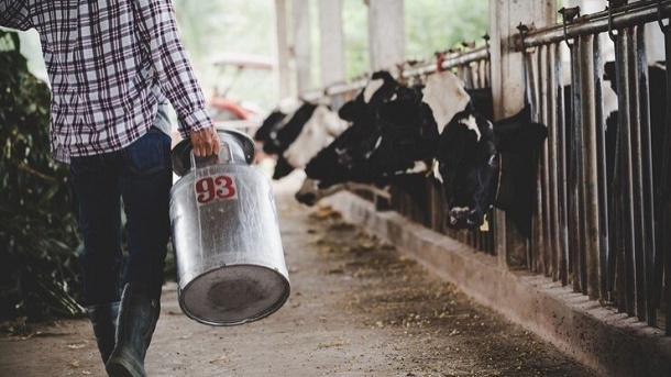 لیست قیمت جدید دام زنده در کشور 1402/09/04