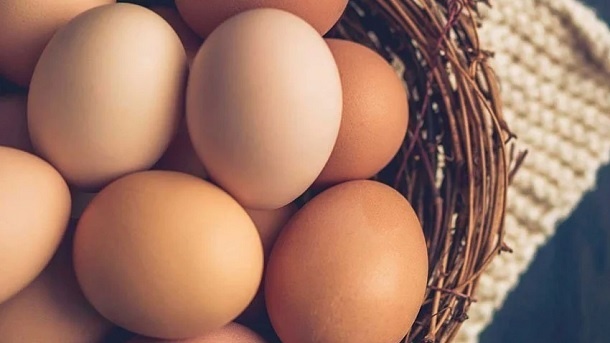 قیمت جدید تخم مرغ اعلام شد 1402/09/13