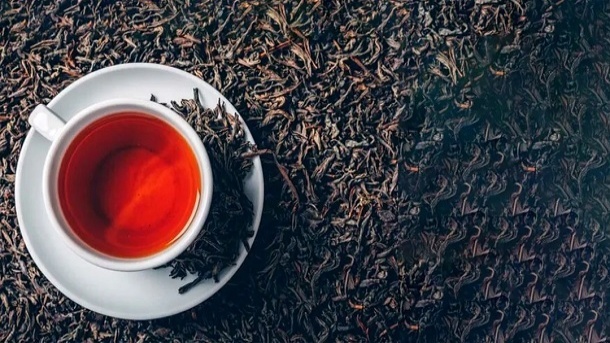 پرونده فساد واردات چای را در محضر ملت منتشر کنید