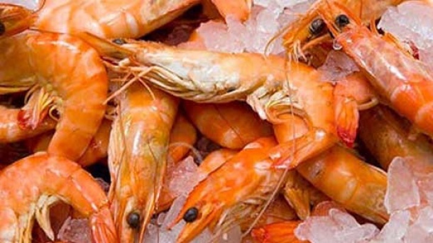 قیمت میگو و شاه میگو در بازار چند؟