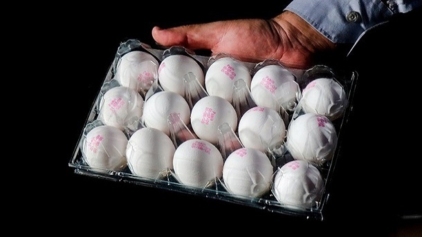 افزایش مجدد قیمت تخم مرغ