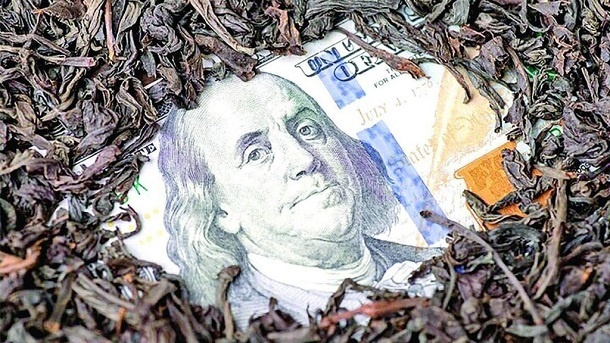 احتمال حکم اعدام در پرونده فساد واردات چای