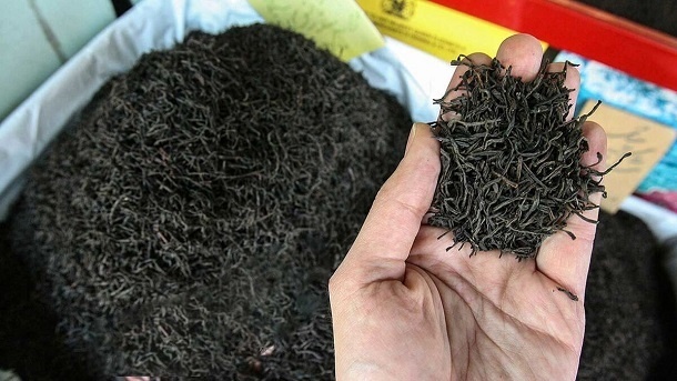 فرار رو به جلو در فساد چای دبش