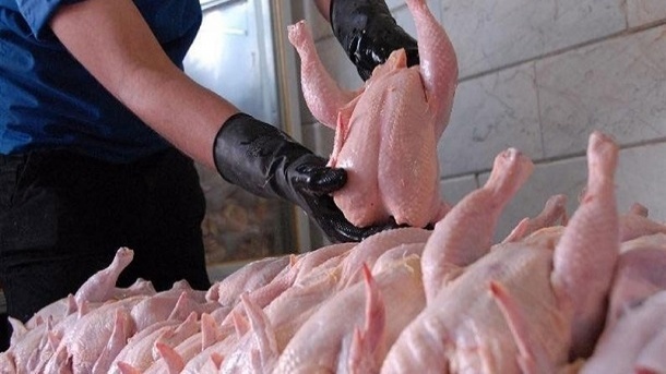 قیمت جدید گوشت مرغ 1402/09/18