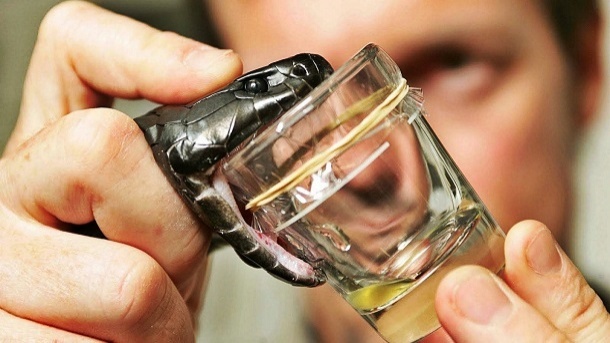 قتل با سَم مار