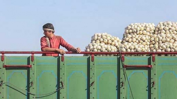 اطلاعیه گمرک در مورد صادرات پیاز و گوجه فرنگی