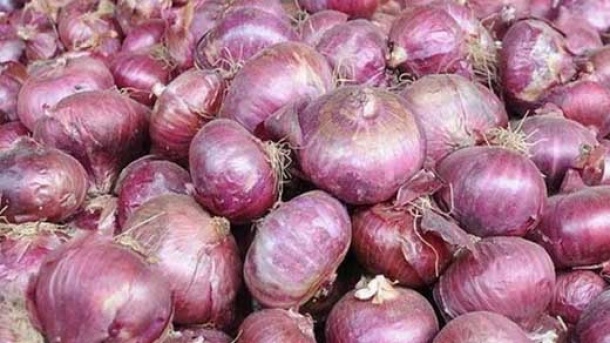 عوارض صادرات پیاز اعلام شد