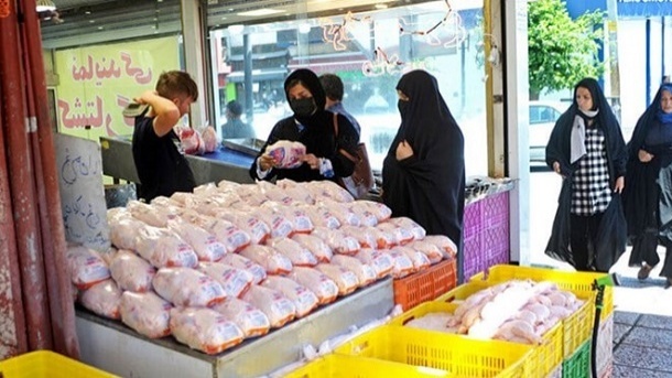 کاهش جوجه‌ریزی‌ شهریور و مهرِ مرغداری‌‌ها، آذرماه جبران شد