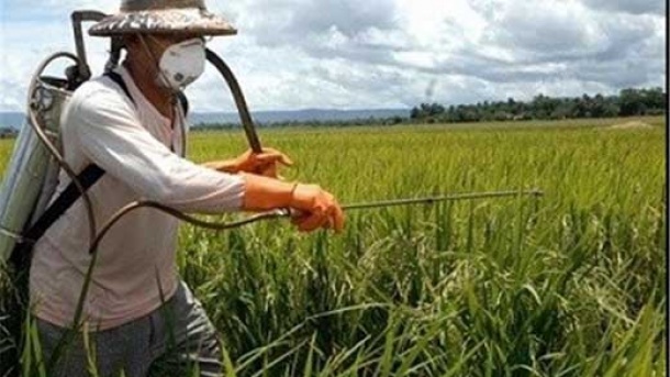 افزایش 9 درصدی مالیات واردات سموم کشاورزی 