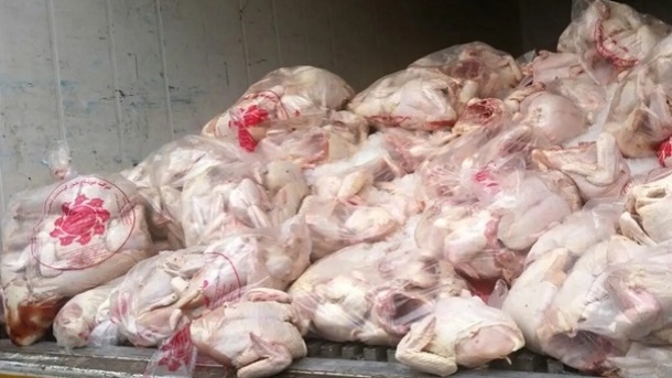 افزایش جوجهریزی ترمز قیمت مرغ را کشید