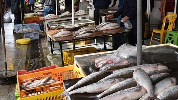 قیمت جدید انواع ماهی در بازار اعلام شد 1402/10/17