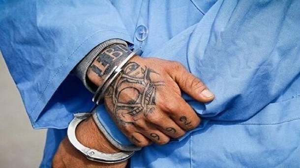 «هانی کرده» زندانی شد