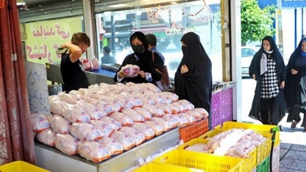 شیب کاهش قیمت در انتظار بازار مرغ