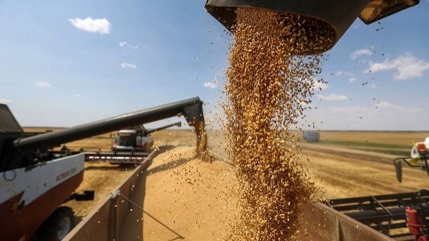 قیمت گندم در ایران بالاتر از نرخ جهانی با دلار 55 هزار تومان